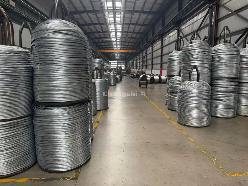 anti-twisting-braided-steel-poilt-rope-1.webp